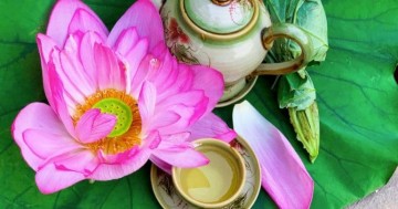 Nguồn Gốc Lịch Sử & Văn Hóa Uống Trà Của Người Việt